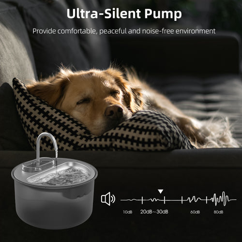 Dog resting on a couch with an ultra-silent pump in the foreground, indicating a peaceful environment.