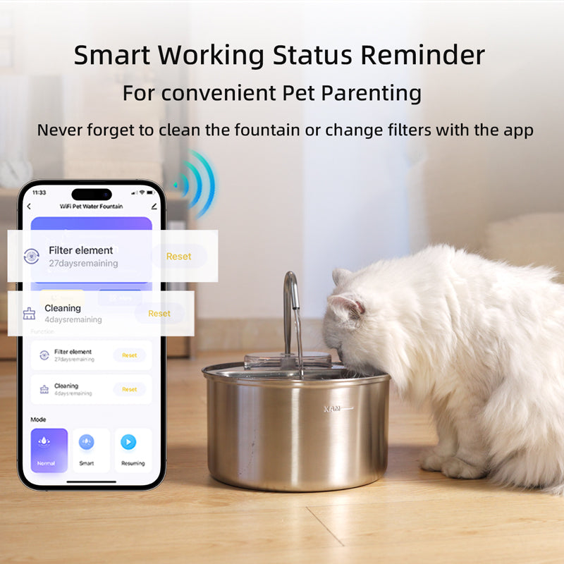 Smart pet water fountain with smartphone app interface and a cat drinking water.